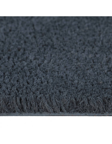Zerbini 2pz Grigio Scuro 40x60 cm Fibra di Cocco
