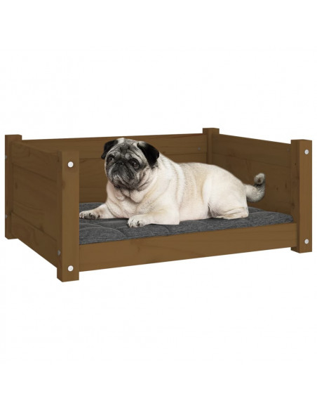 Cuccia per Cani Miele 65,5x50,5x28cm in Legno Massello di Pino