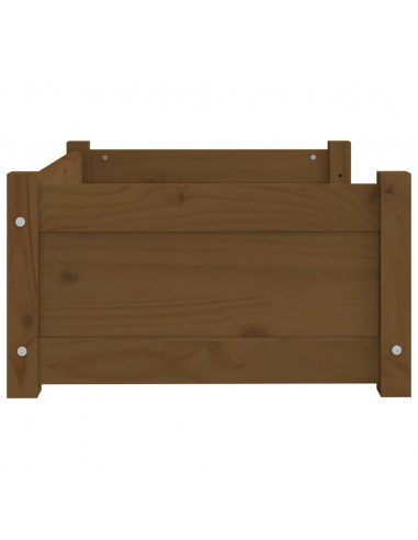 Cuccia per Cani Miele 65,5x50,5x28cm in Legno Massello di Pino