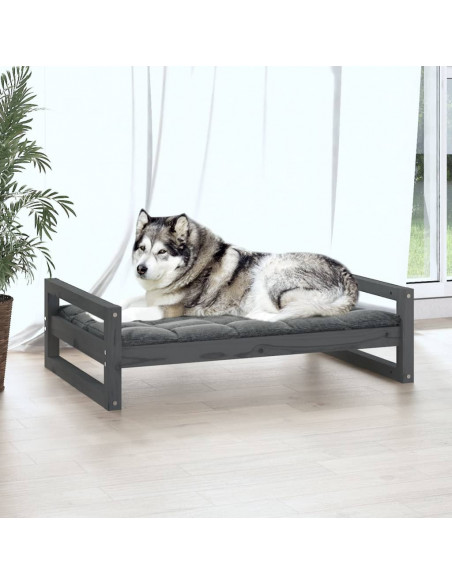 Cuccia per Cani Grigia 105,5x75,5x28 cm Legno Massello di Pino