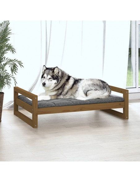 Cuccia per Cani Miele 105,5x75,5x28cm in Legno Massello di Pino