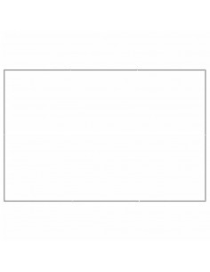 Gabbia per Cani Argento 6 m² in Acciaio