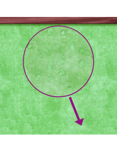 Cuccia per Cani Moka 96x87x80,5 cm in Legno Massello di Pino