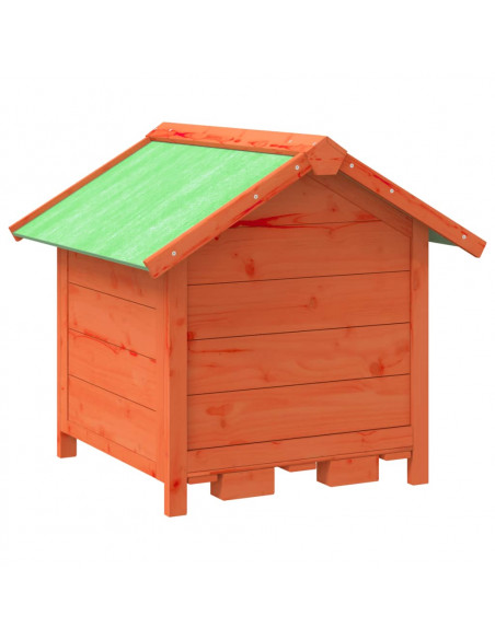 Cuccia per Cani Marrone 65x65x61,5 cm in Legno Massello di Pino