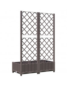 Fioriera da Giardino con Graticcio Marrone 80x40x121,5 cm in PP