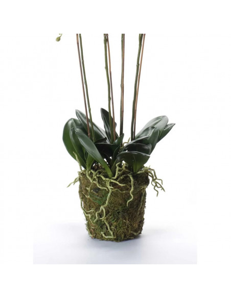 Emerald Orchidea Artificiale con Muschio Bianca 90 cm 20.355