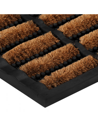 Zerbino Rettangolare 45x75 cm in Gomma e Fibra di Cocco