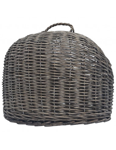 Trasportino per Gatti Grigio 50x42x40 cm in Salice Naturale