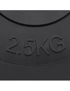 Dischi per Pesi 6 pz 30 kg in Cemento