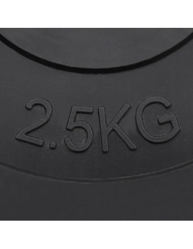 Dischi per Pesi 6 pz 30 kg in Cemento