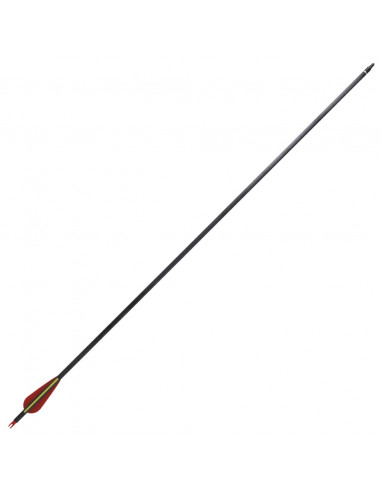 Frecce Standard 12 pz per Arco Ricurvo 30" 0,76 cm in Carbonio
