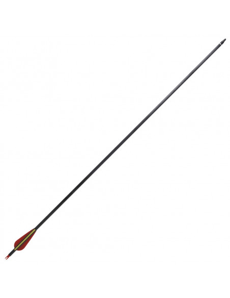 Frecce Standard 12 pz per Arco Ricurvo 30" 0,76 cm in Carbonio