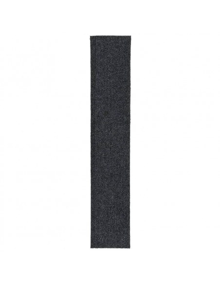 Tappeto Corsia Acchiappa Polvere 100x500 cm Antracite