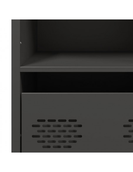 Credenza Nera 101,5x39x103,5 cm in Acciaio