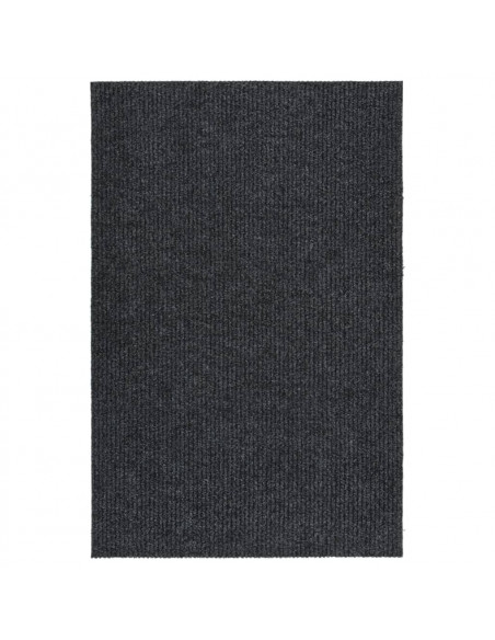 Tappeto Corsia Acchiappa Polvere 100x150 cm Antracite