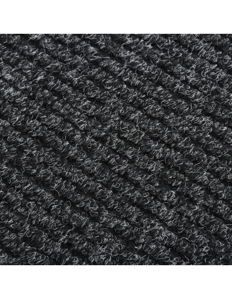 Tappeto Corsia Acchiappa Polvere 100x250 cm Antracite