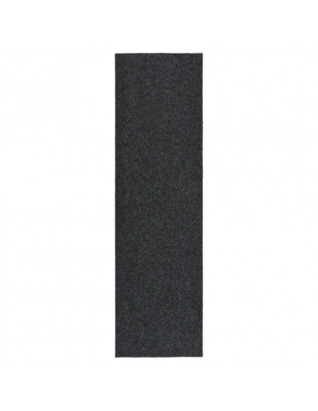 Tappeto Corsia Acchiappa Polvere 100x350 cm Antracite