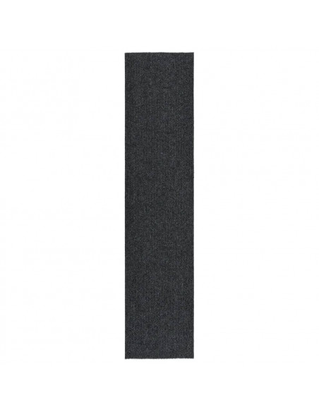 Tappeto Corsia Acchiappa Polvere 100x450 cm Antracite