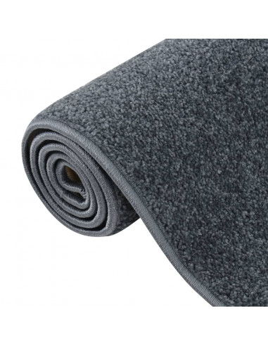Tappeto a Pelo Corto 160x230 cm Antracite