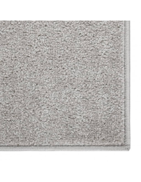 Tappeto a Pelo Corto 80x150 cm Grigio Chiaro