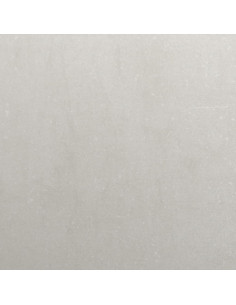 Fioriere da Giardino 2 pz 40x40x40 cm in Acciaio Inox