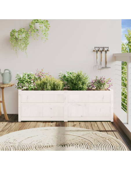Fioriera da Giardino Bianca 150x50x50 cm Legno Massello di Pino