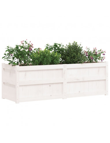 Fioriera da Giardino Bianca 150x50x50 cm Legno Massello di Pino