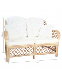 Divano a 2 Posti in Rattan