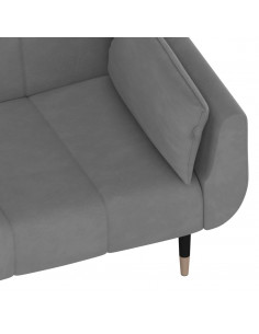 Divano Letto a 2 Posti con 2 Cuscini Grigio Chiaro in Velluto