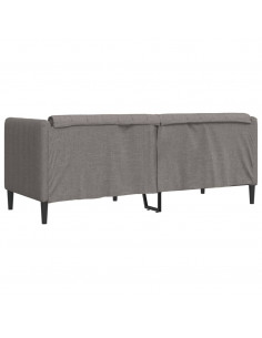 Divano a 2 Posti Grigio Talpa in Tessuto