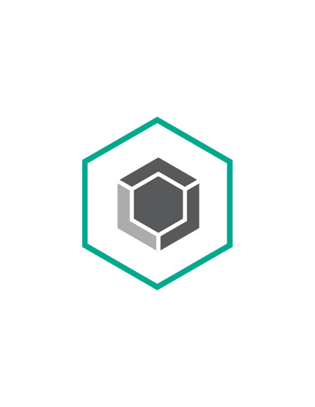 Kaspersky Encryption f/ Endpoint Open Value Subscription (OVS) Aggiuntivo Multilingua 1 anno/i