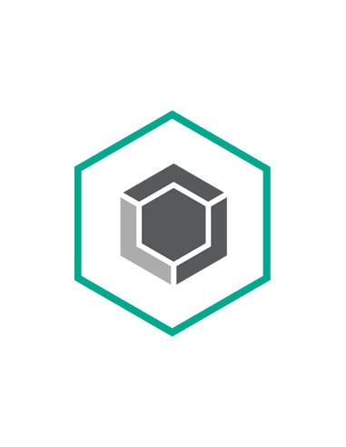 Kaspersky Encryption f/ Endpoint Open Value Subscription (OVS) Aggiuntivo Multilingua 1 anno/i