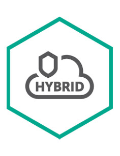 Kaspersky Hybrid Cloud Security for Desktop Rinnovo 1 anno/i