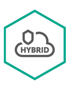 Kaspersky Hybrid Cloud Security Istruzione (EDU) Licenza 1 mese(i)
