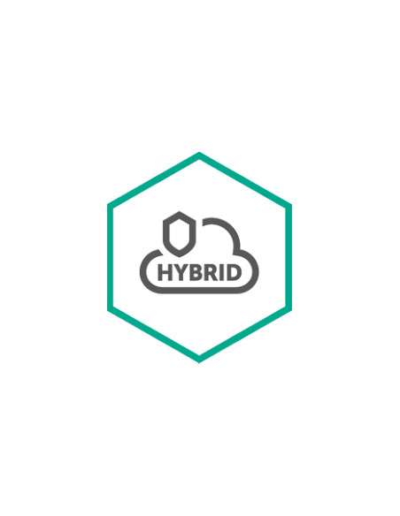 Kaspersky Hybrid Cloud Security Rinnovo 12 mese(i)