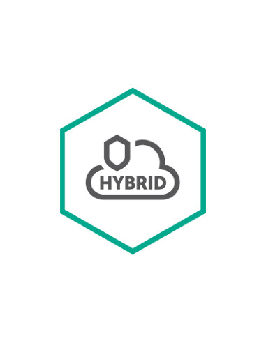 Kaspersky Hybrid Cloud Security Rinnovo 12 mese(i)
