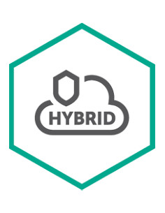 Kaspersky Hybrid Cloud Security Rinnovo 36 mese(i)