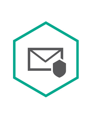 Kaspersky KL4312XAMDS licenza per software/aggiornamento 2 anno/i