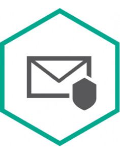 Kaspersky KL4312XAQDS licenza per software/aggiornamento 2 anno/i
