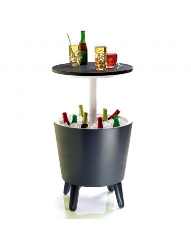 Keter Bar Refrigerante Antracite 192710