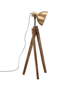 Lampada da Terra 25 W Ottone Anticato 45x45x120 cm E27