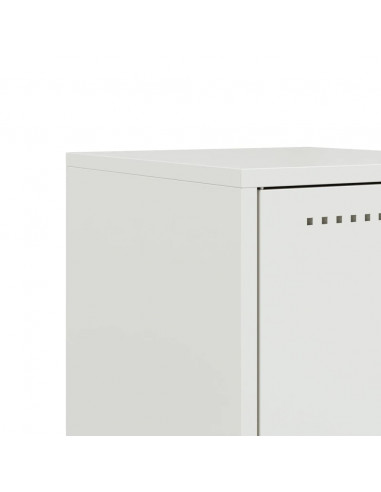 Comodini 2 pz Bianchi 36x39x78 cm in Acciaio