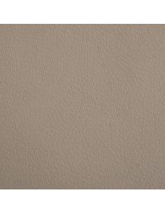 Lettino per Cani Cappuccino 70x45x30 cm in Similpelle