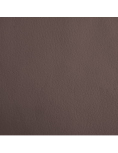 Lettino per Cani Marrone 70x45x30 cm in Similpelle