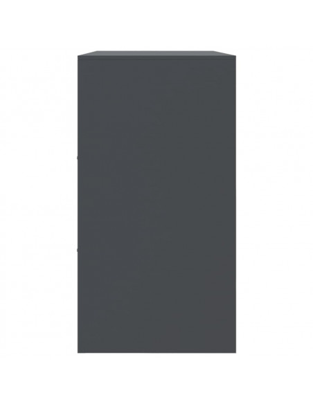 Credenza Antracite 99x39x73 cm in Acciaio