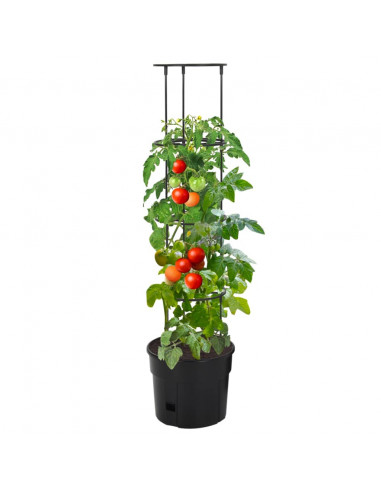 Vaso a Torre per Pomodori Antracite Ø29,5x115 cm Polipropilene