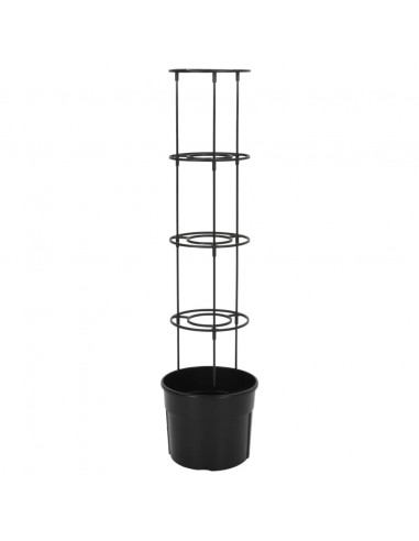 Vaso a Torre per Pomodori Antracite Ø29,5x115 cm Polipropilene