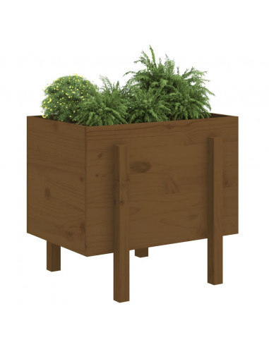 Fioriera da Giardino Miele 62x50x57 cm Legno Massello di Pino