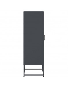 Credenza Antracite 36x39x123 cm in Acciaio 2