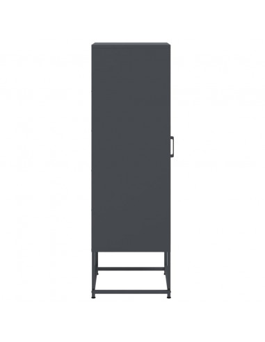 Credenza Antracite 36x39x123 cm in Acciaio